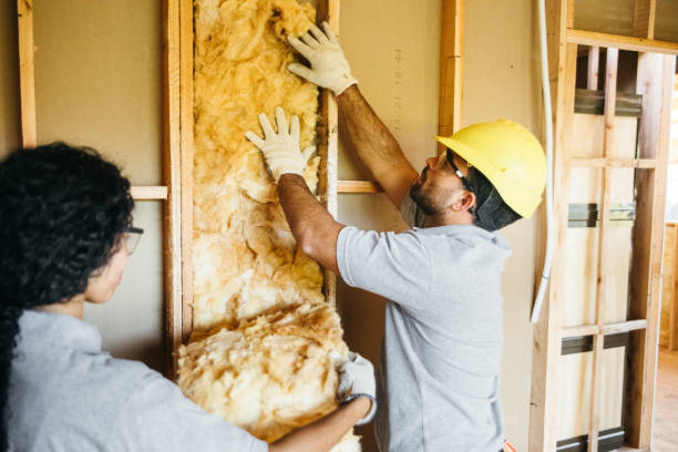 Best Insulation Contractor Near Me  in Mckenzie, TN