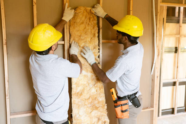 Insulation Inspection Services in Mckenzie, TN