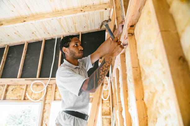 Best Affordable Insulation Services  in Mckenzie, TN